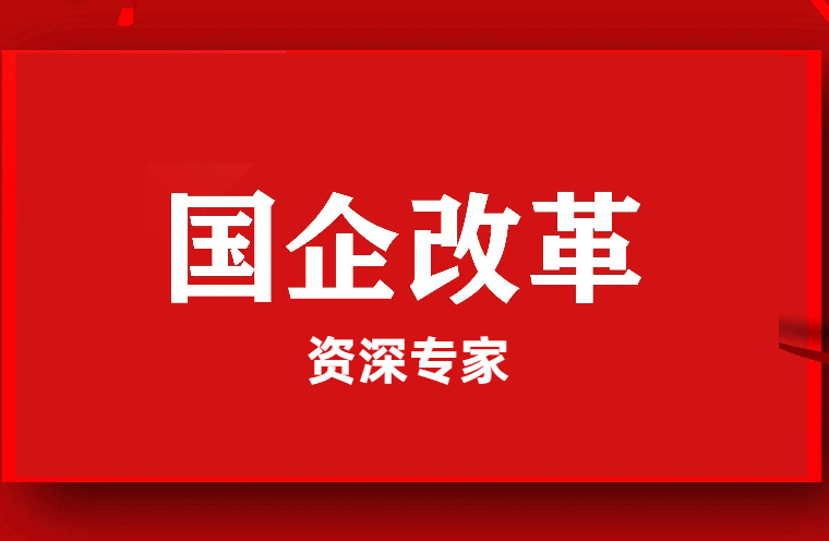 18位资深国企改革专家